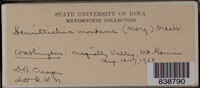 Image Associated With the Occurence